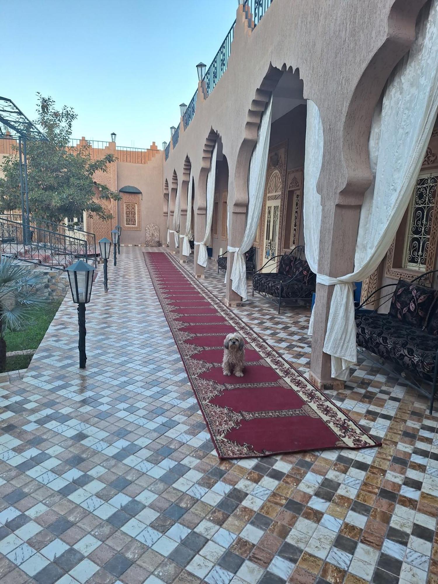 Eden Suite مراكش المظهر الخارجي الصورة